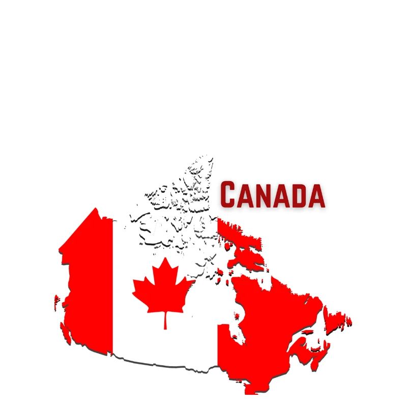Toronto Canada Canada Drapeau Canada Fan de drapeau canadien
