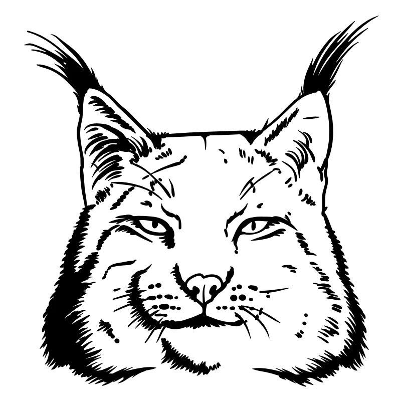 caracal