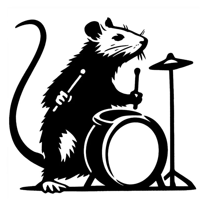 Rat on drums
