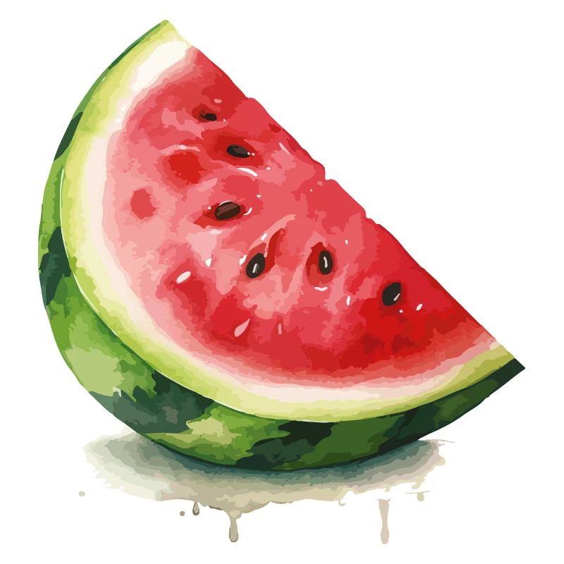 Tranche de pastèque à l’aquarelle