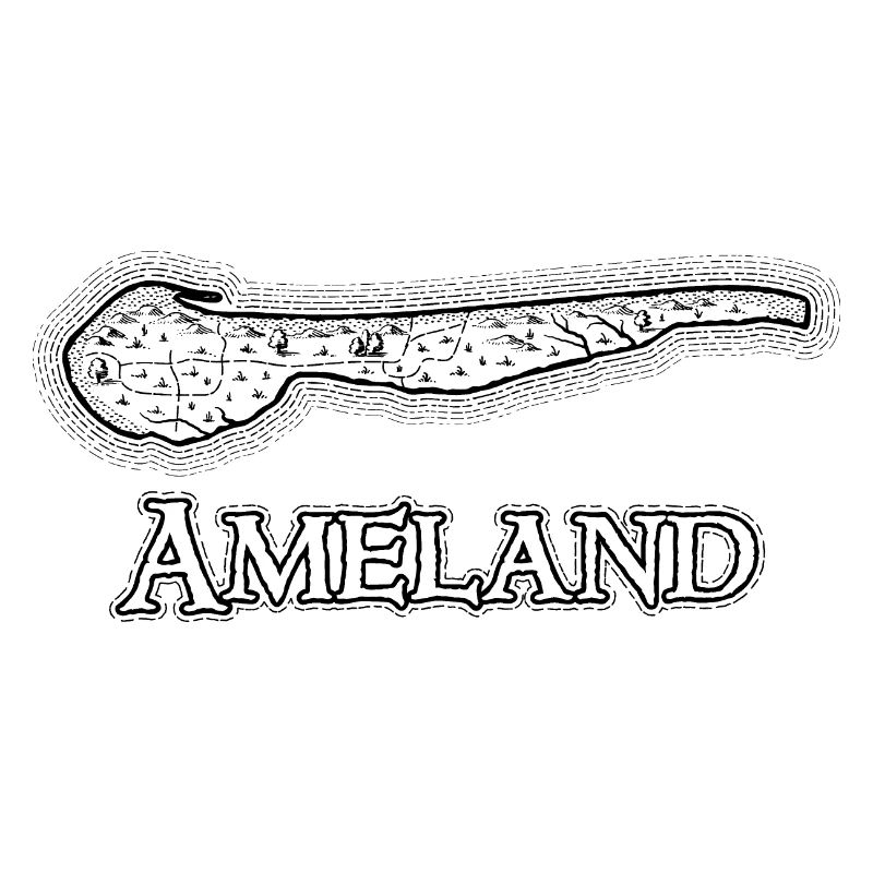 Ameland | Antique map | Treasure map