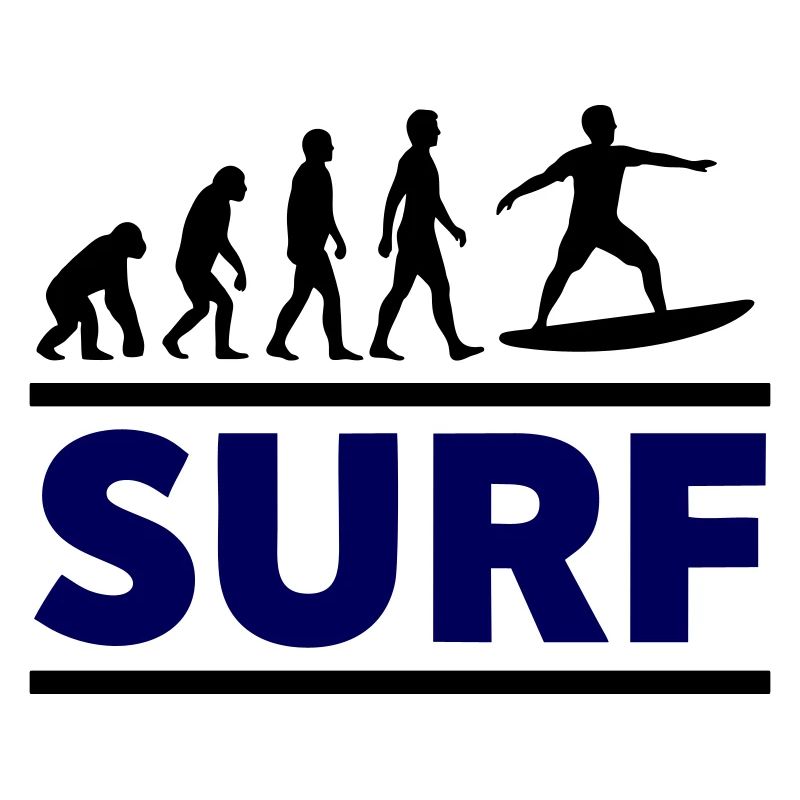 Surf Évolution