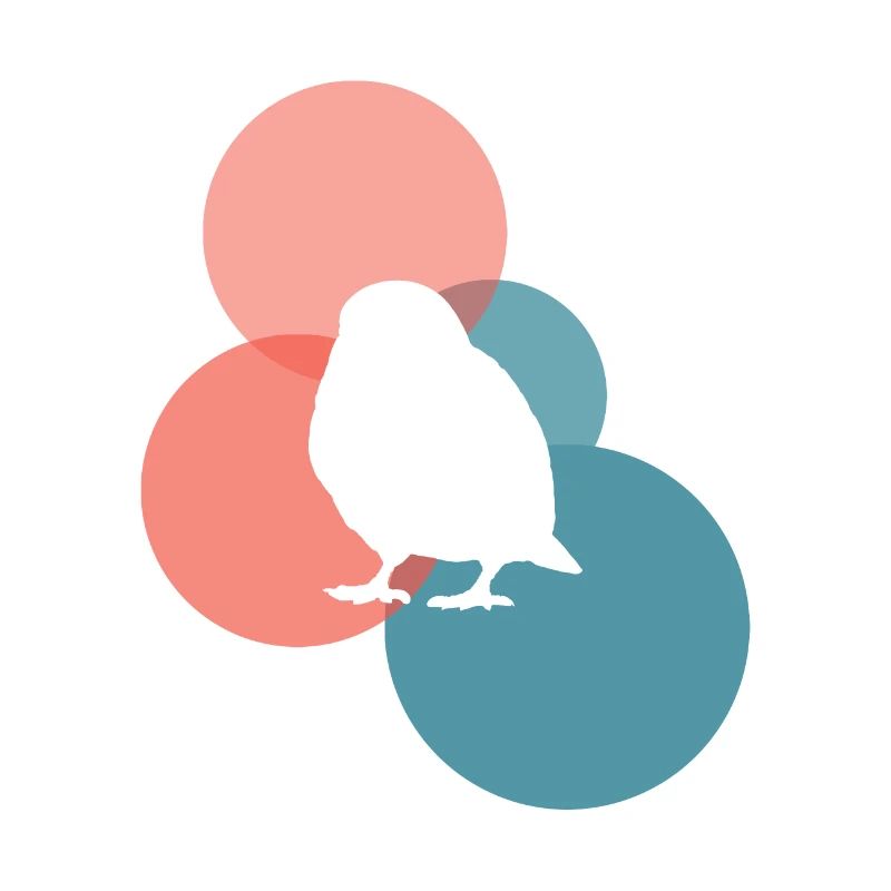 Bird Bird Illustration Bird Illustration