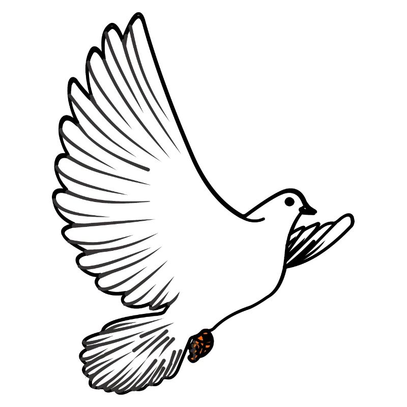 Weiße Taubenbrieftaube Ziertaube oder Friedenstaube