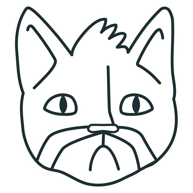 Chat Moustache malheureux chat
