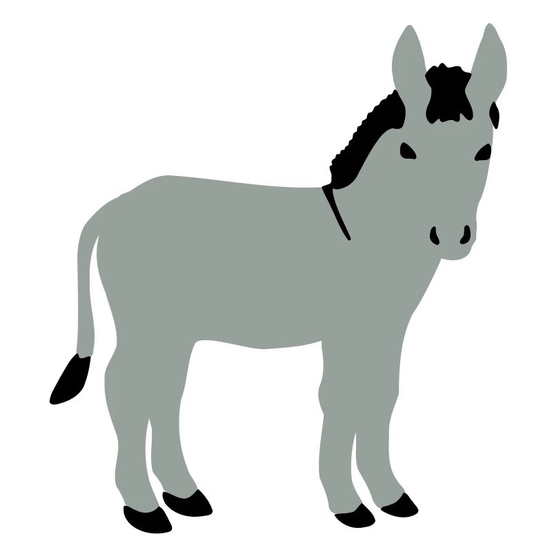 Âne