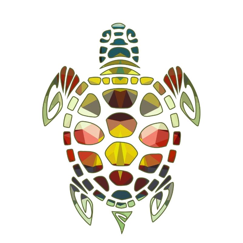 Turtle Geometric
