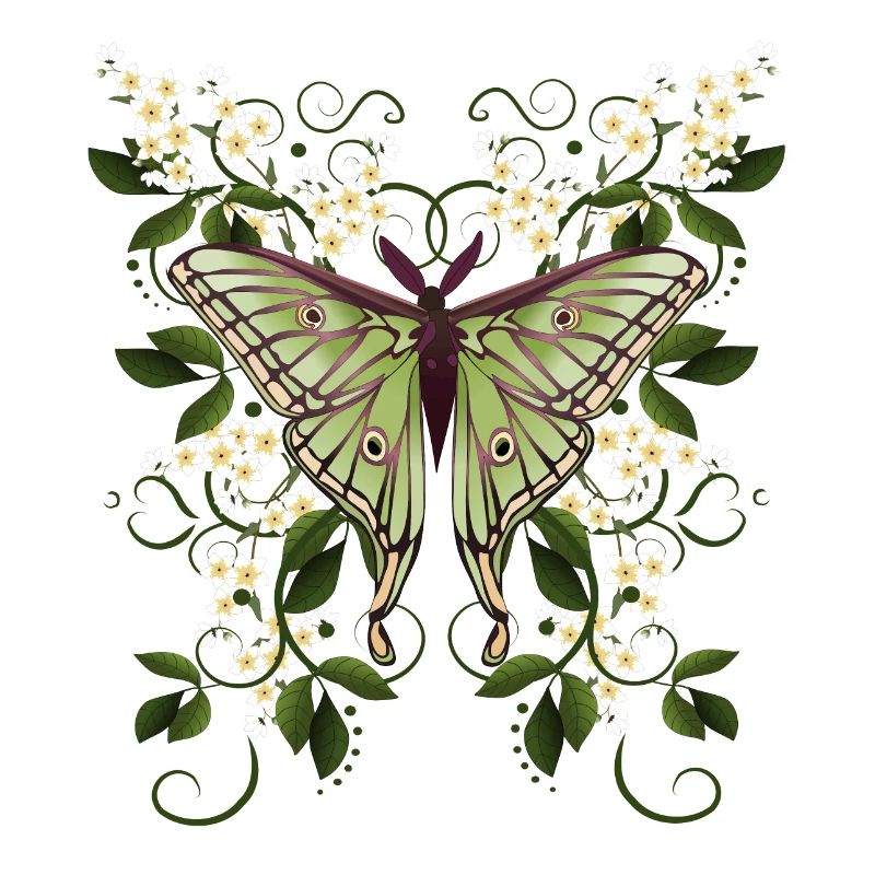 papillon papillon papillon papillon