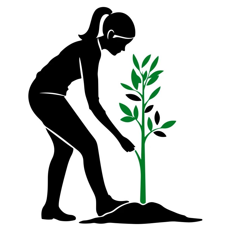 Tree Plants Nature Conservation