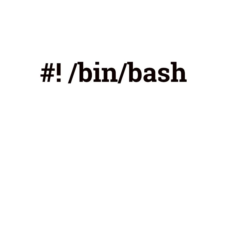 "/bin/bash" | Admin, Computer Science