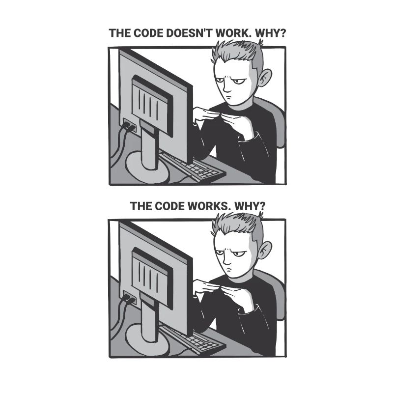 "My Code Works. WHY?" | Programmierer