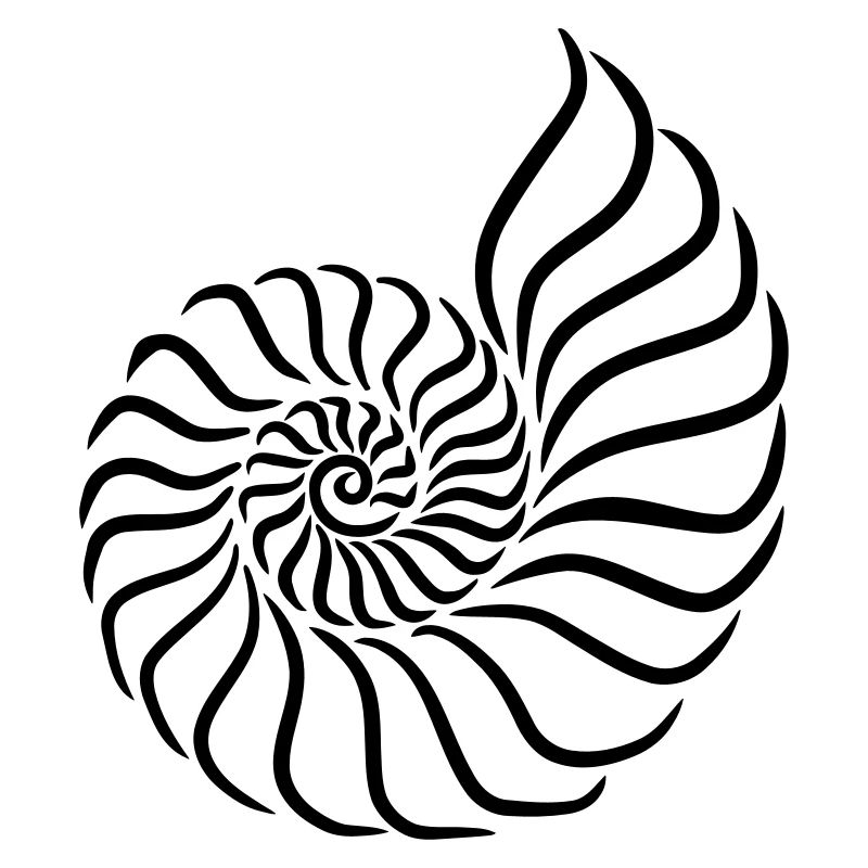 Shell