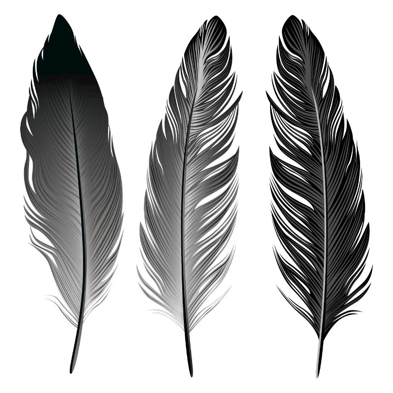 Boho | Feather Style | Illustration