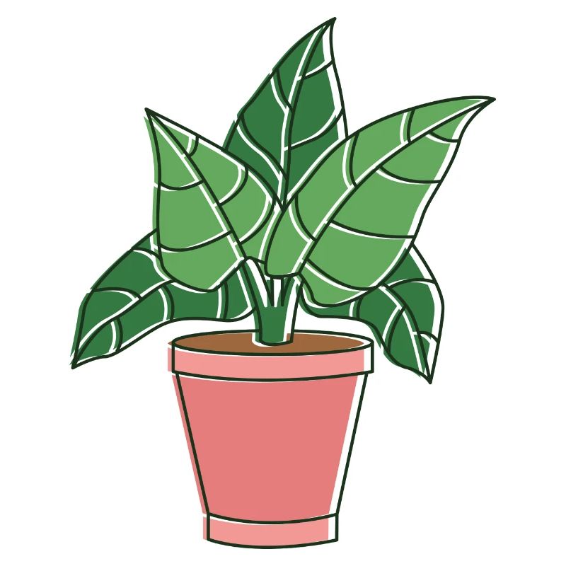 fall plants for u