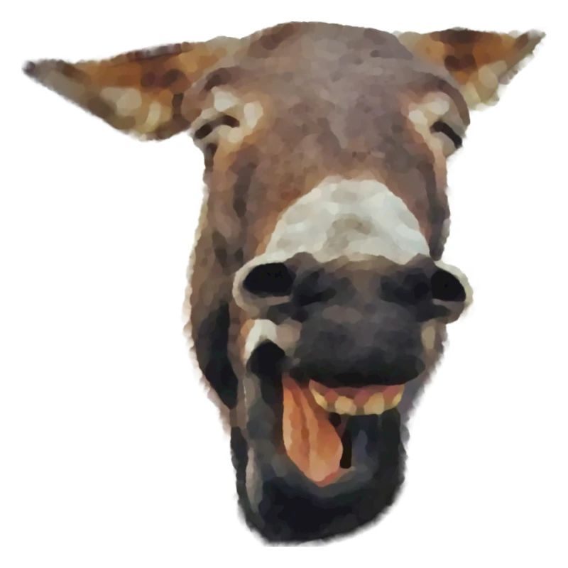 âne qui rit
