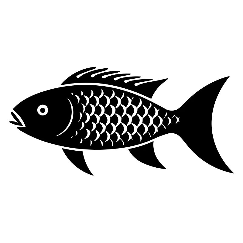Small Carp Fish