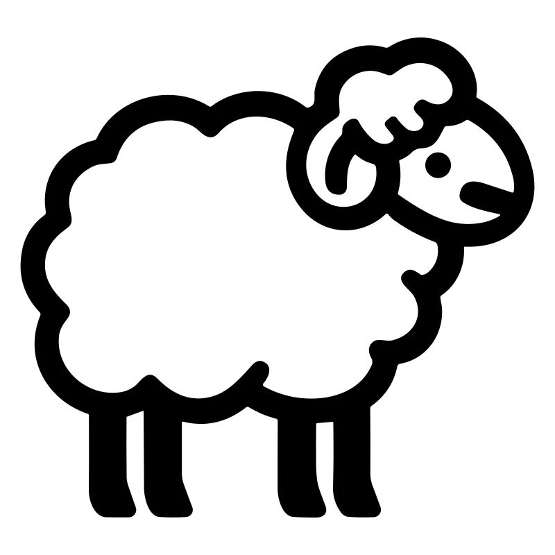 sheep