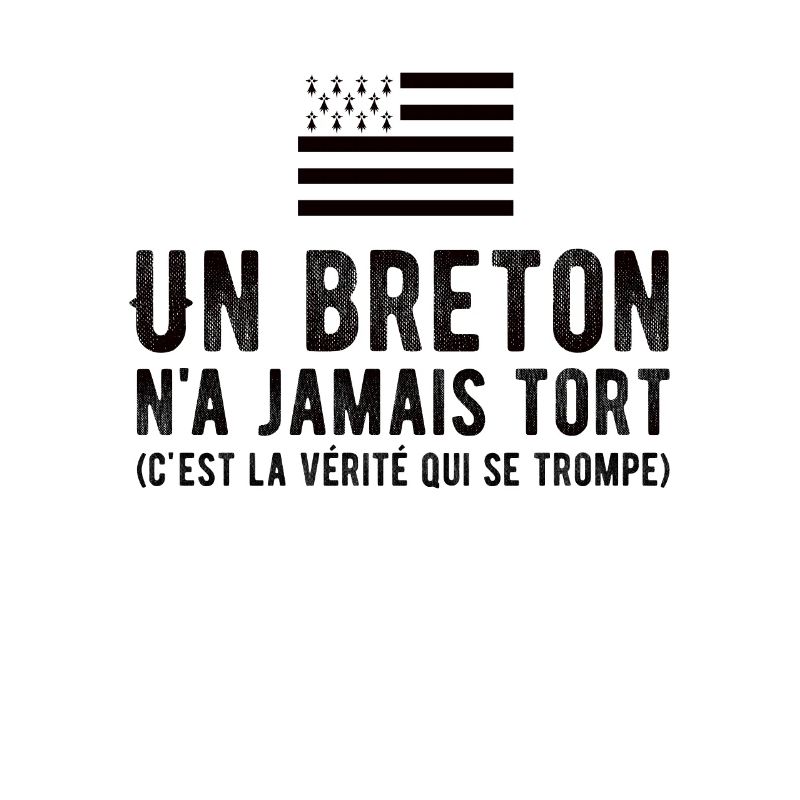 Flag Brittany a Breton is never wrong