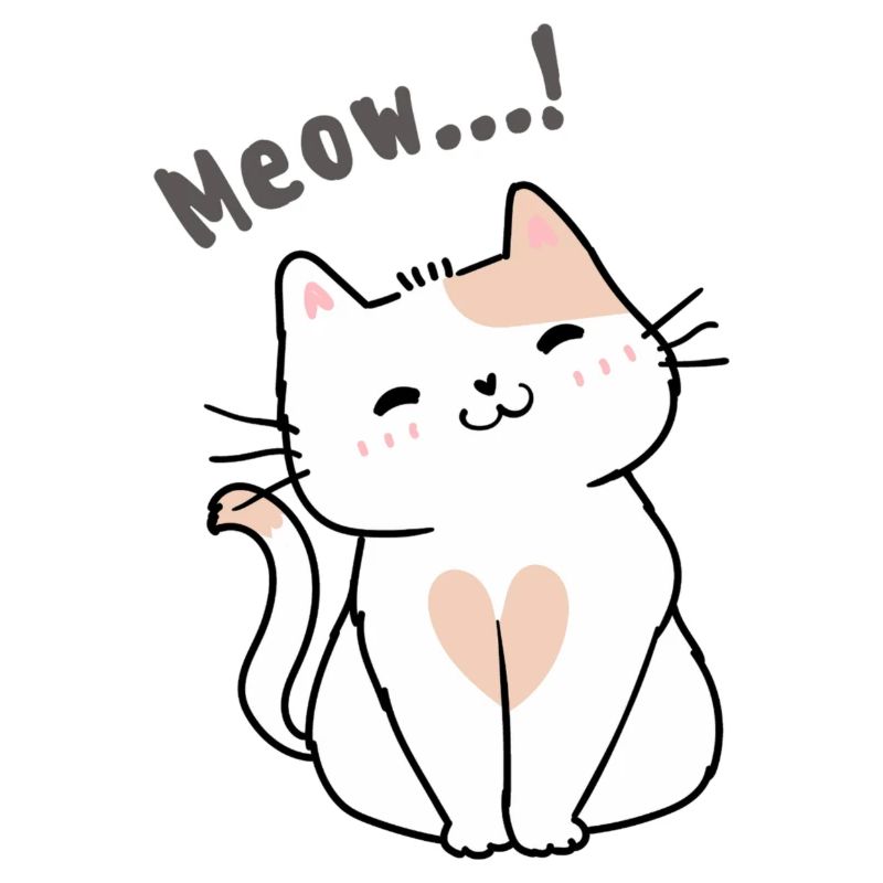 Conception de chat miaou