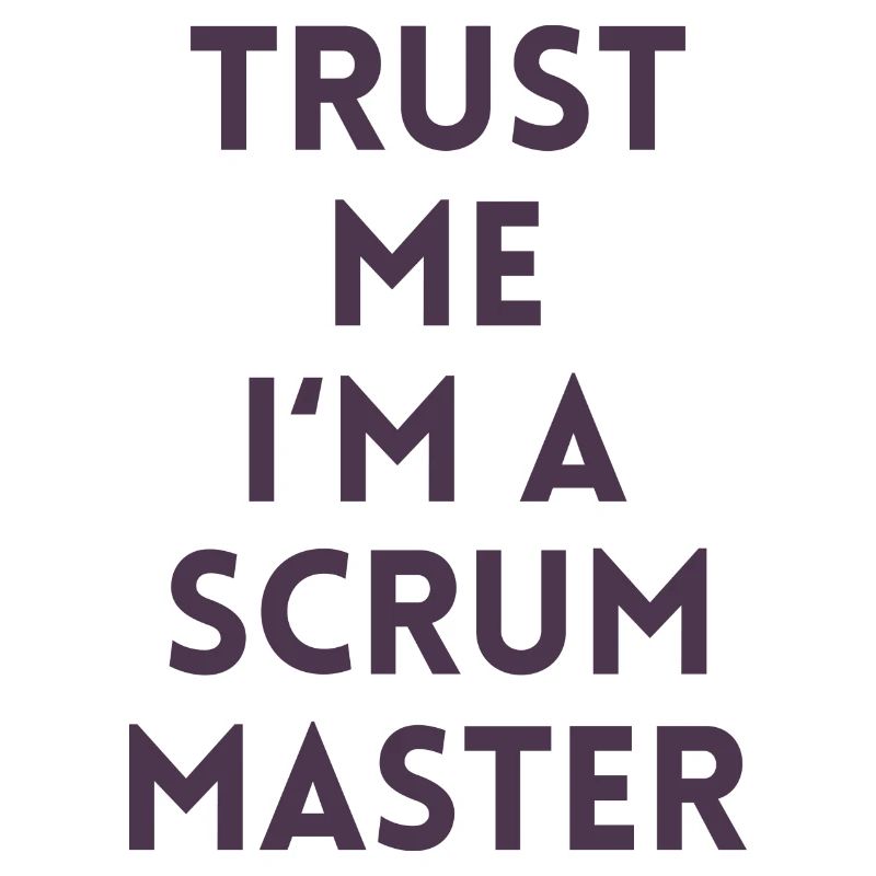 Trust me I'm a scrum master Geschenk Computer Code
