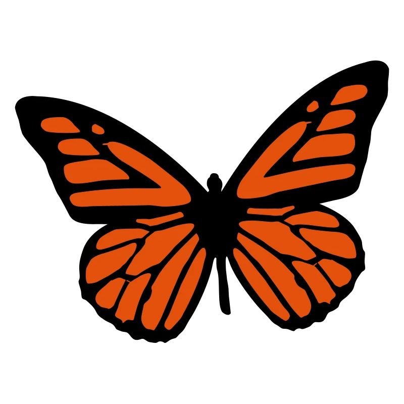 butterfly - papillon