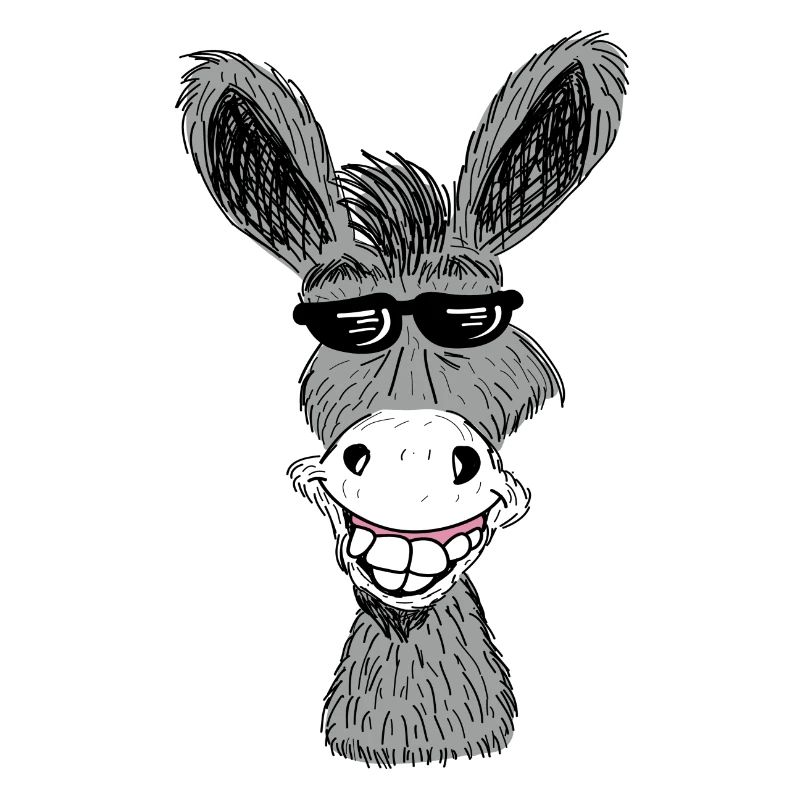 Lustiger Esel Mit Sonnenbrille Geschenkidee Pferde