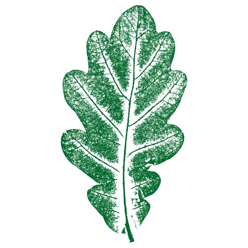 Vert Feuille de Chêne - Monocolore - Feuille/Chêne/ Arbre
