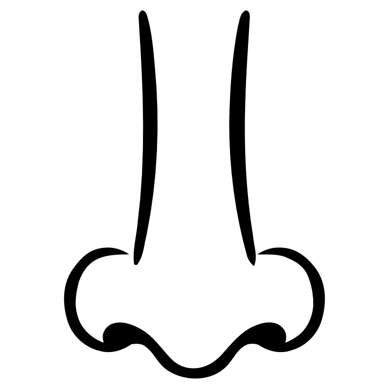 Nez