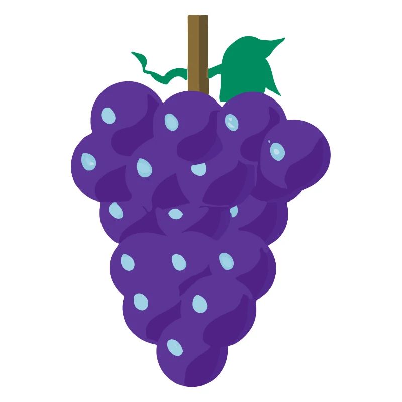 Grape Grapes Wine Illustration Gift Idea