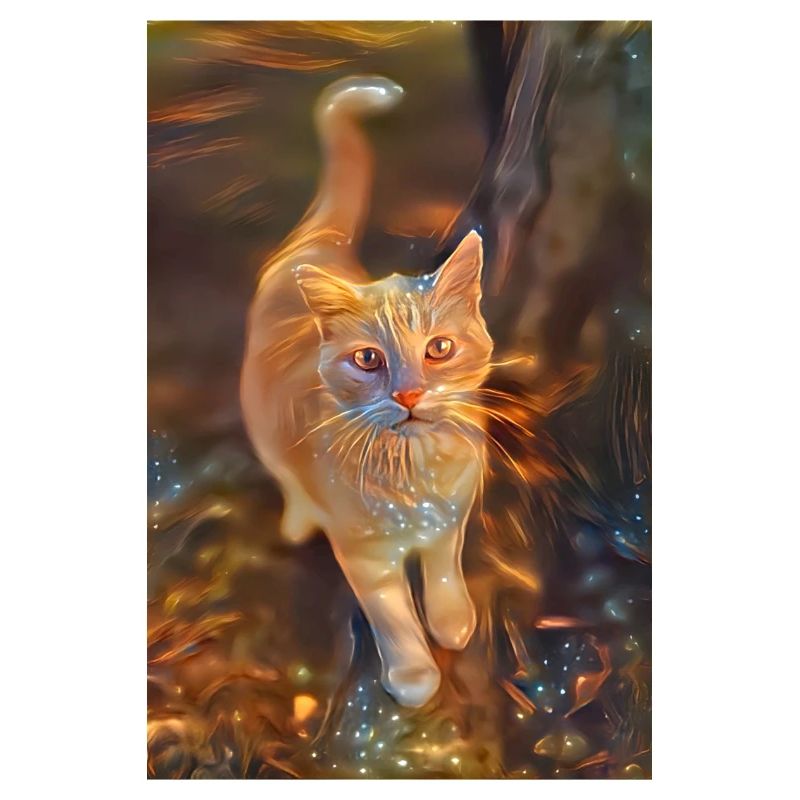 chat doux