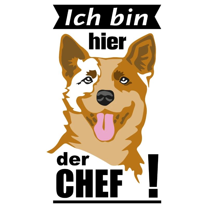 Ich bin Chef Cattle2
