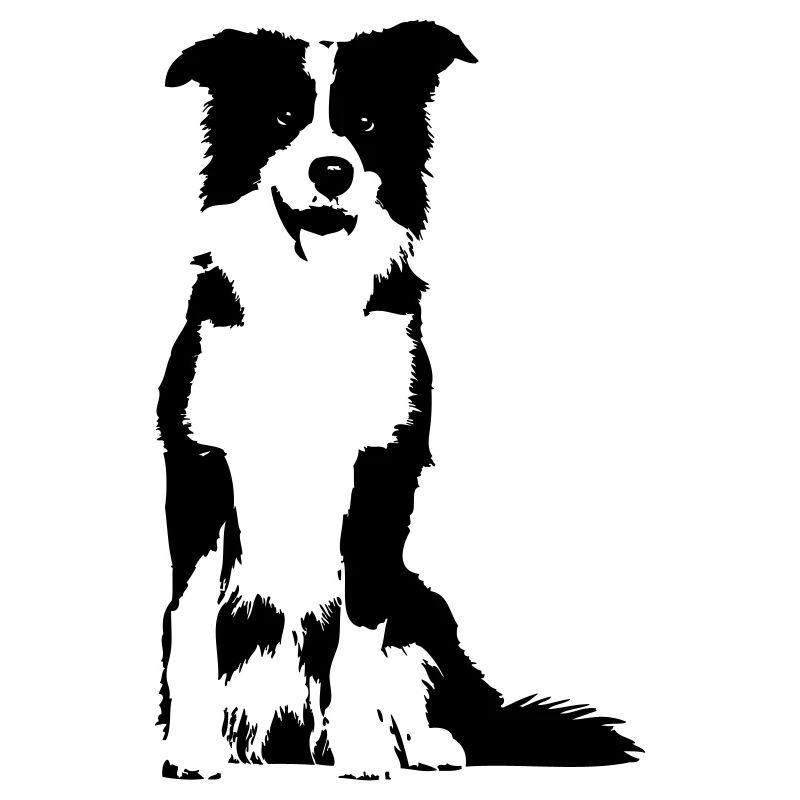 Border-Collie