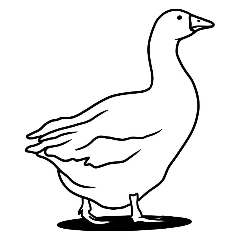 Goose