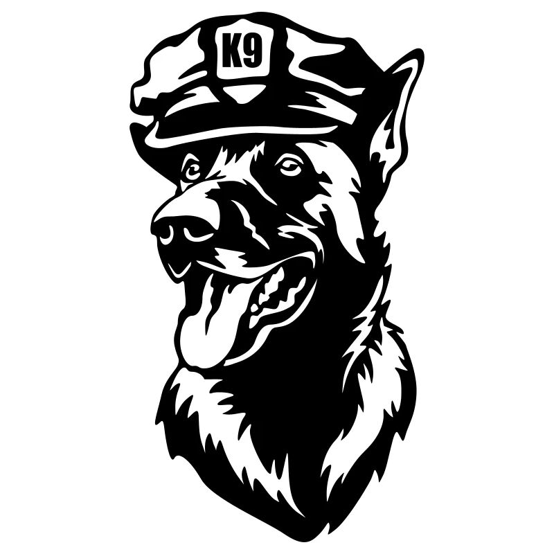 Tête de Malinois