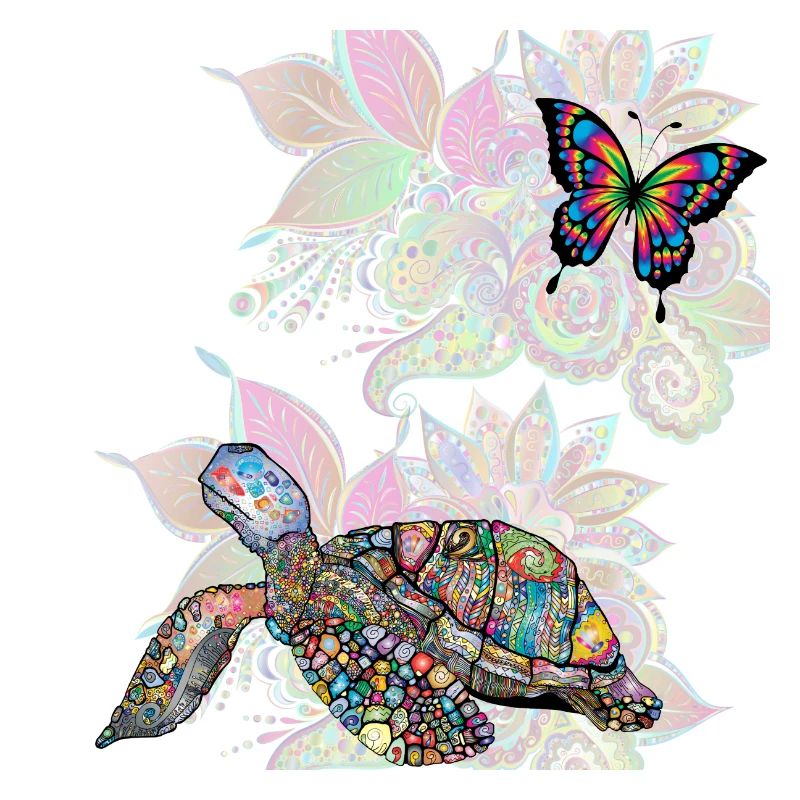 turtle and butterfly