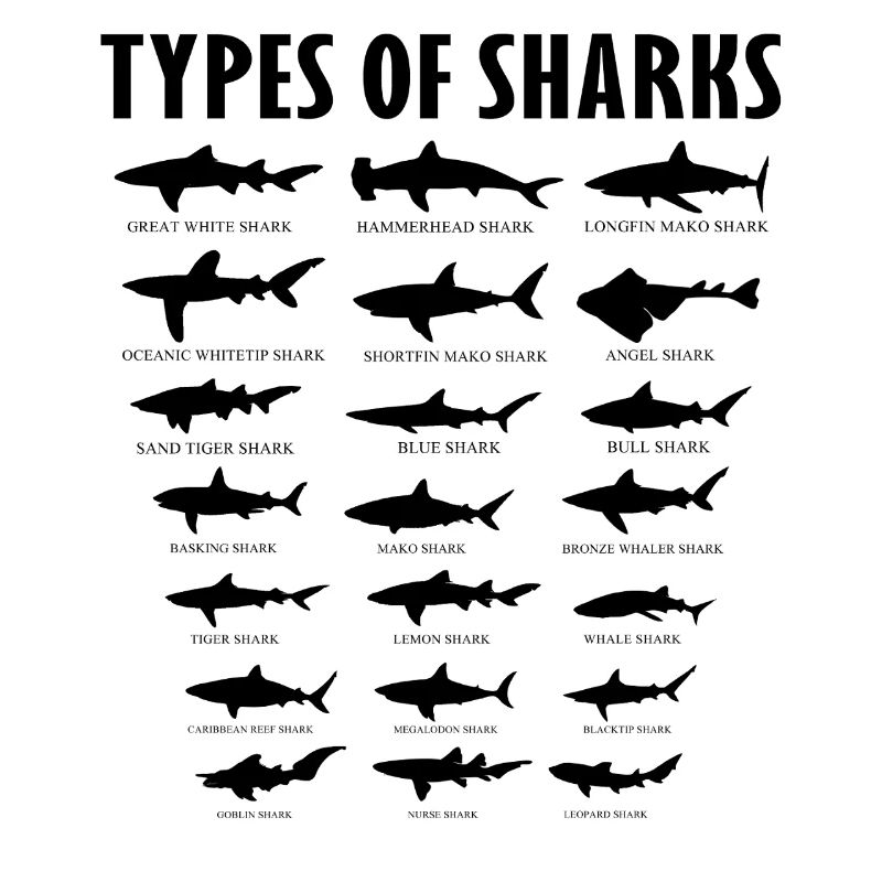 Tableau des types éducatifs d’espèces de requins