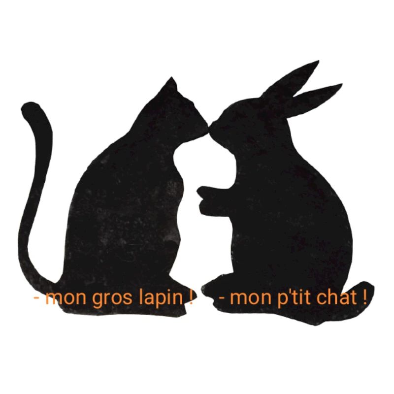 Chat et lapin amis, relation romantique