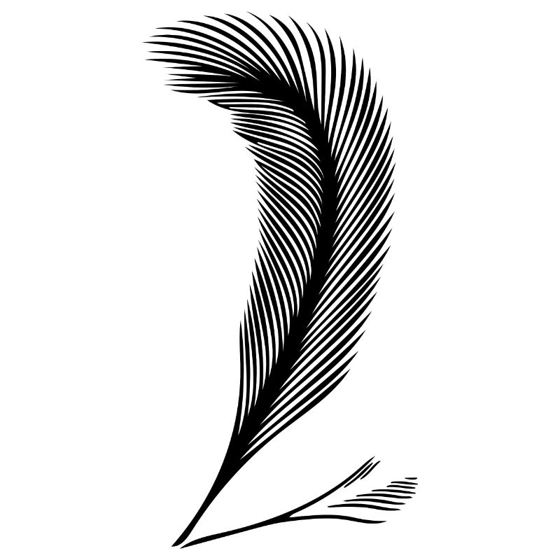 Feather handwriting as an expression of character