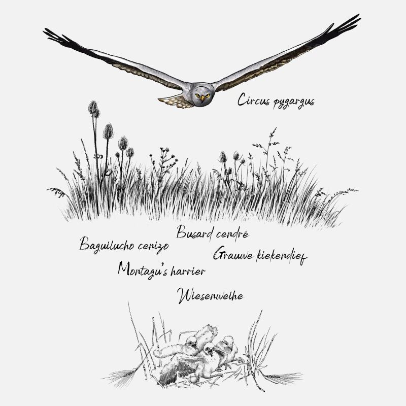 Consécration des prairies