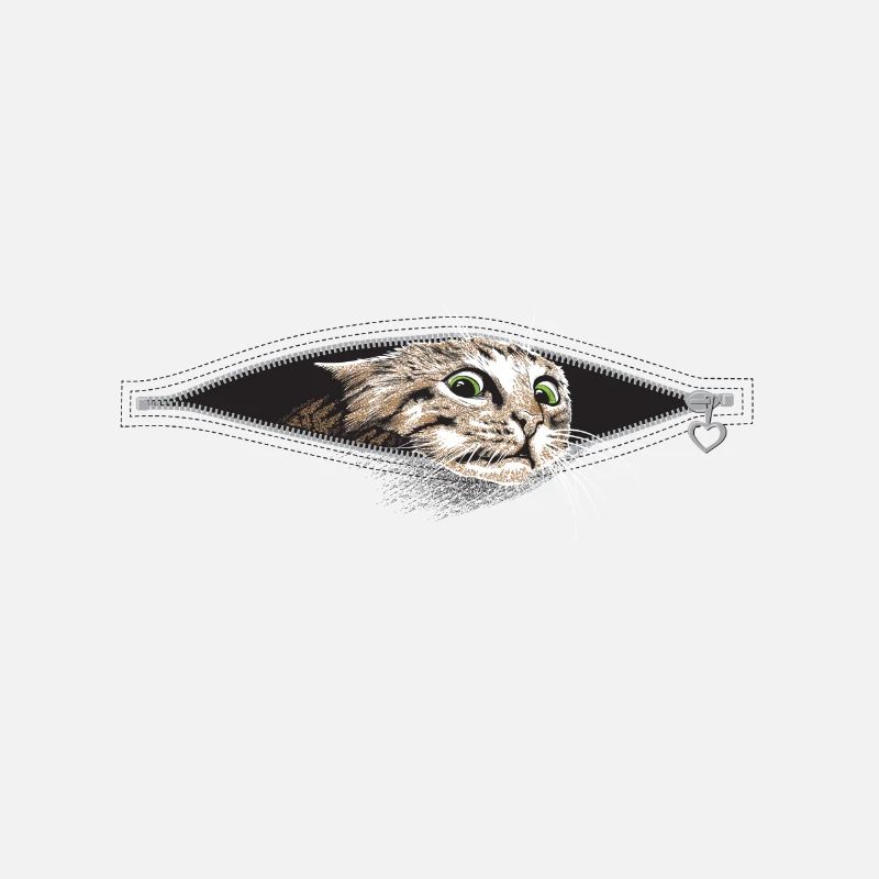 Cat Cats