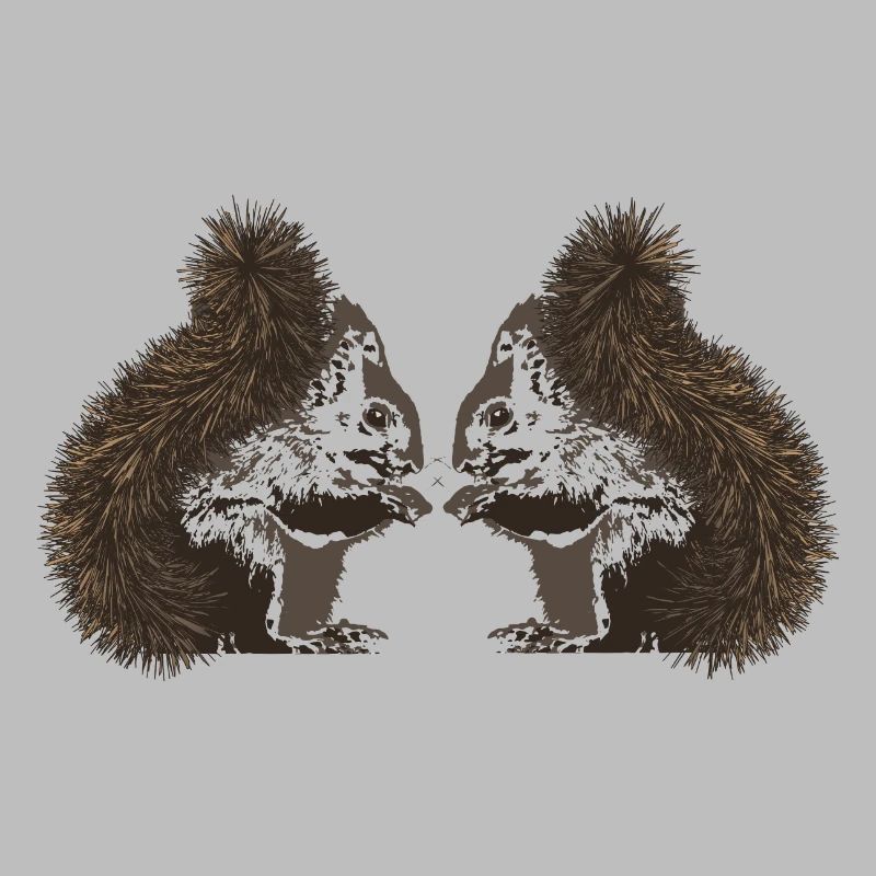 Eichhörnchen, Eichhörnchen