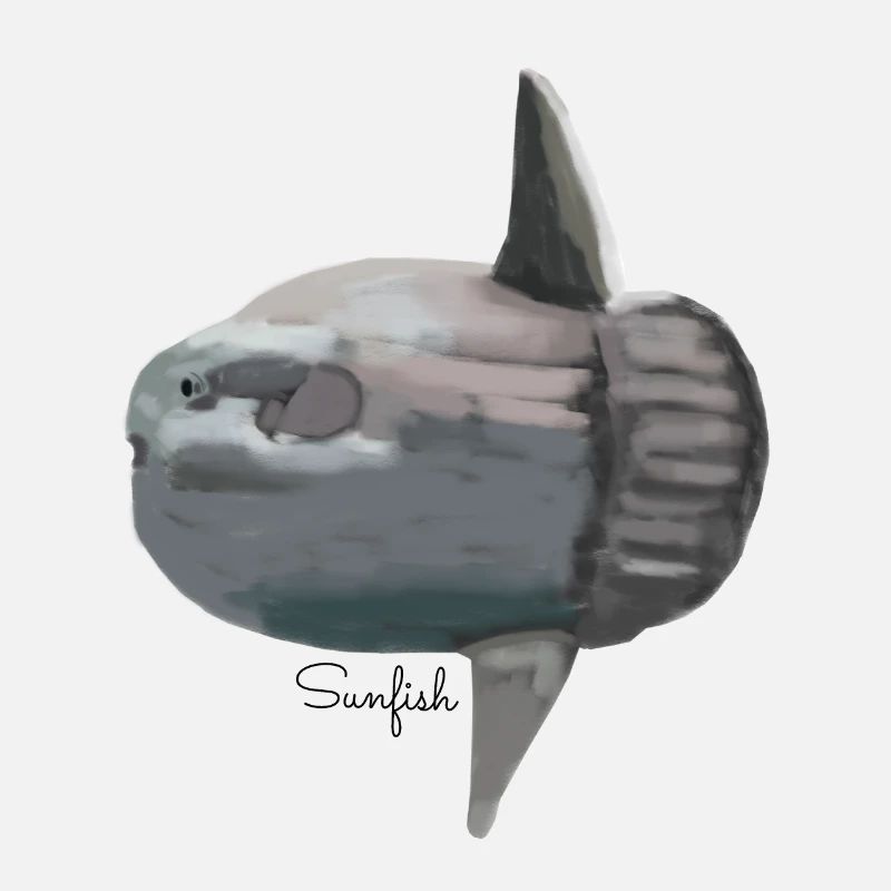 Mondfisch (Sunfish)