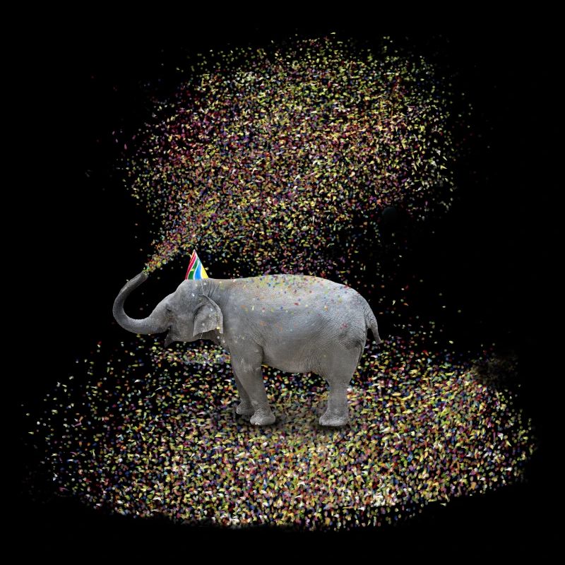 l'éléphant