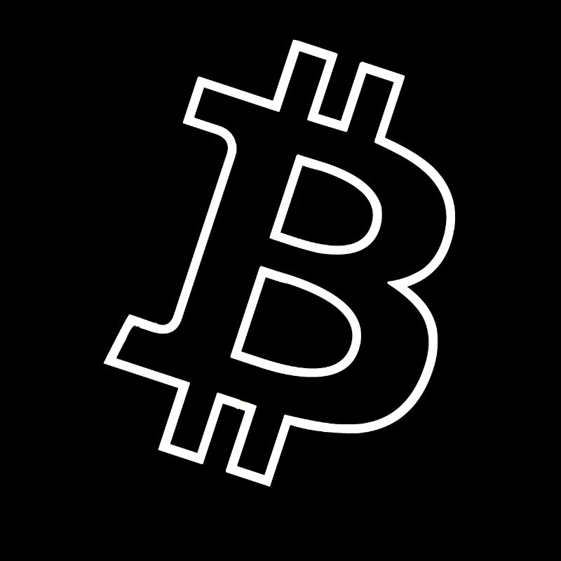 Bitcoin Big Logo white