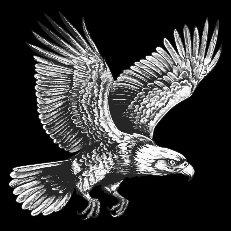 Aigle volant