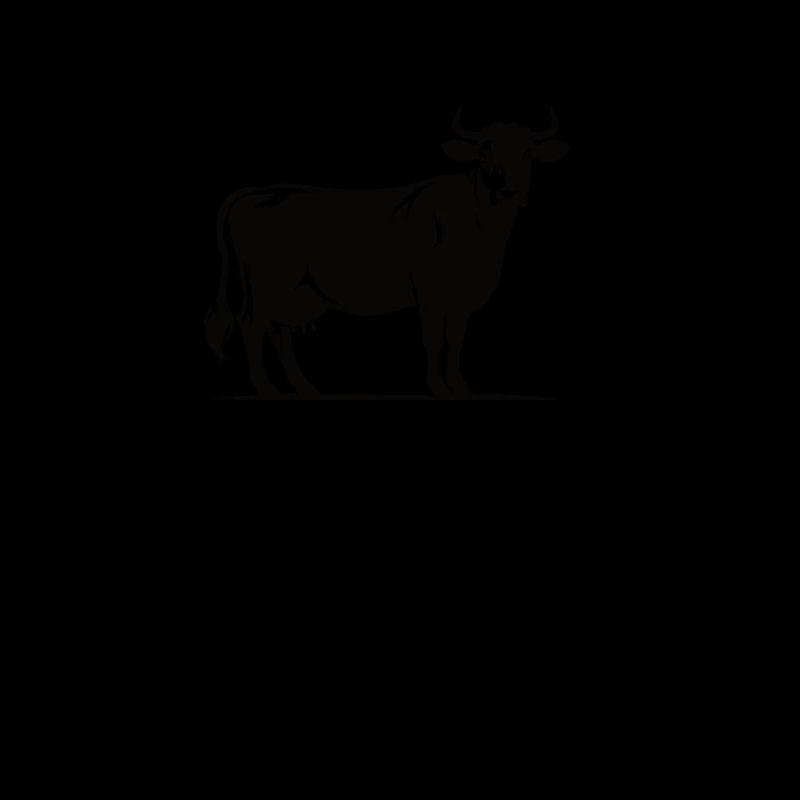 I like cows