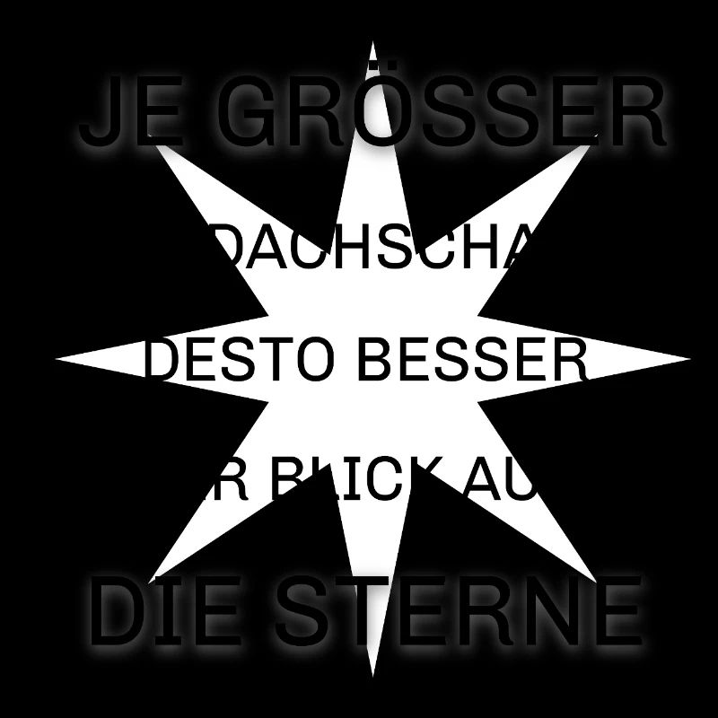 Dachschaden Dachdecker