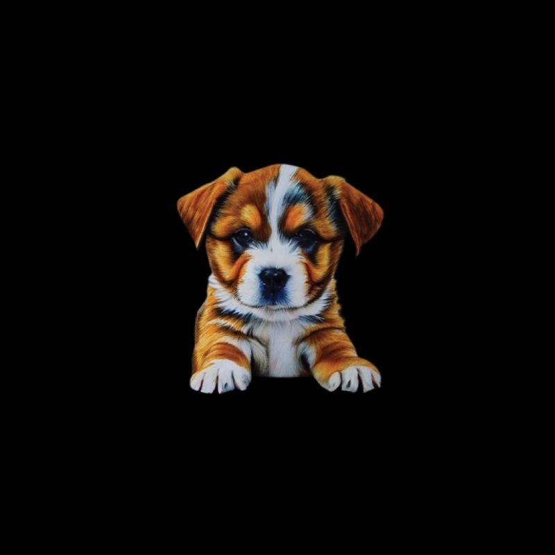 Chiot mignon