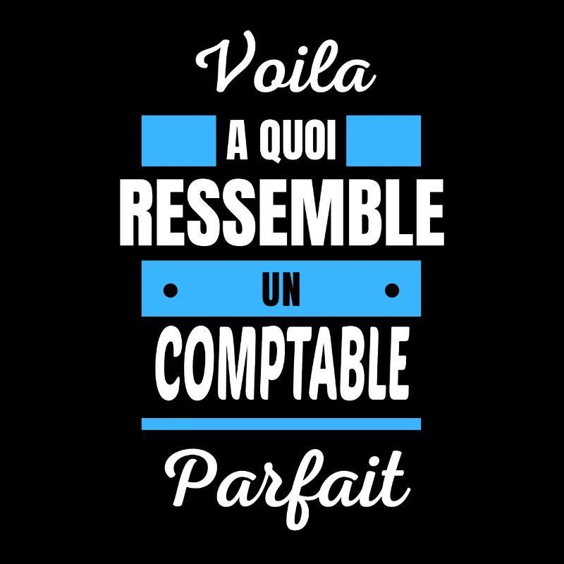 Voila a quoi ressemble un COMPTABLE parfait
