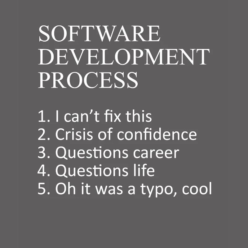 Web Developer Software Development Process Javascr